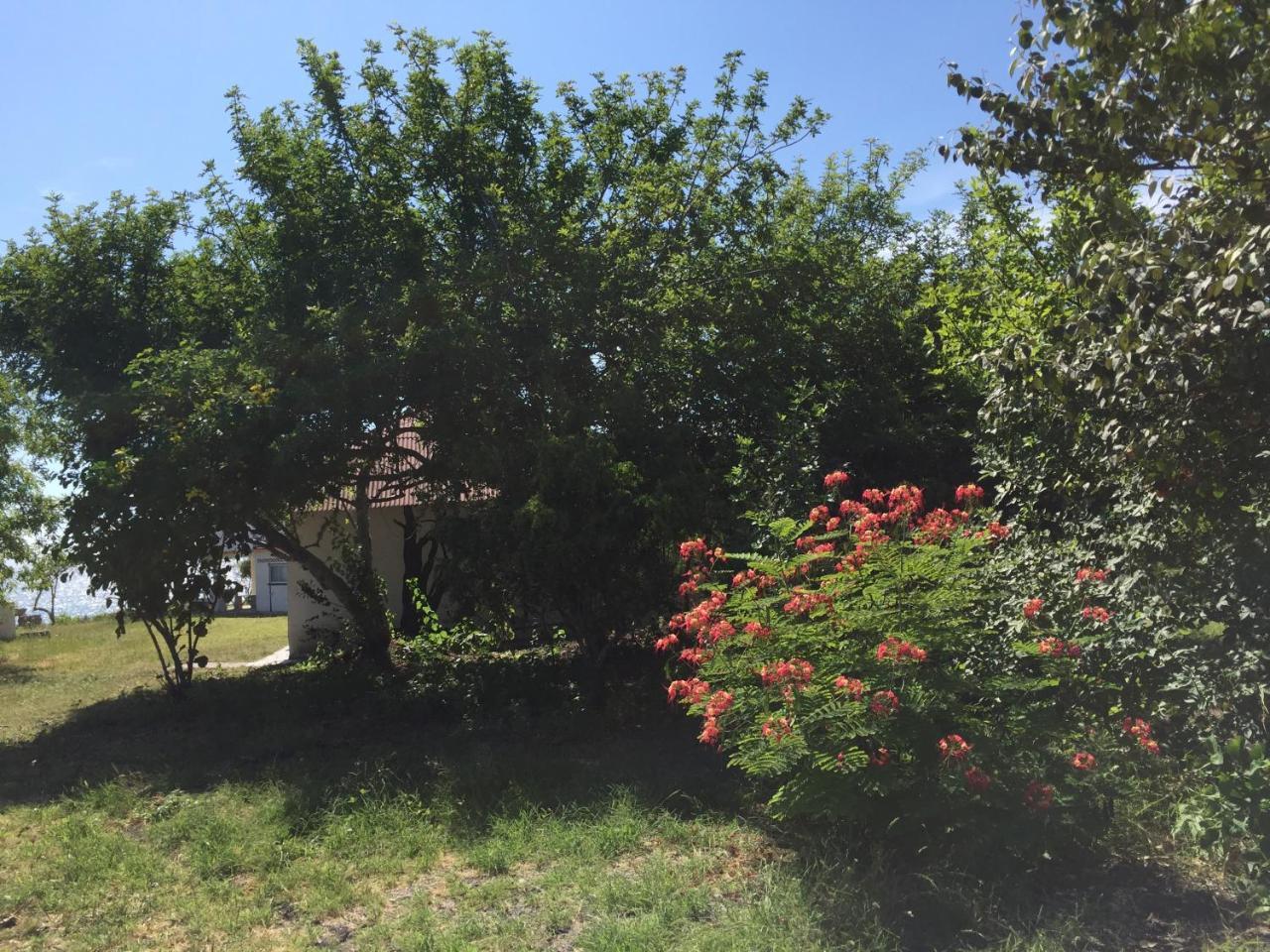 Angauel Inn Cerro Playa Rosada Palmar 外观 照片