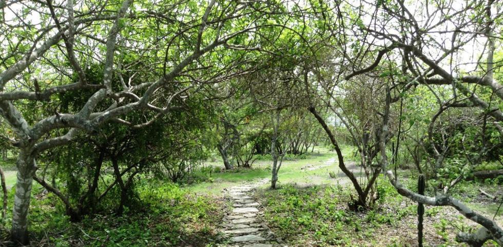 Angauel Inn Cerro Playa Rosada Palmar 外观 照片